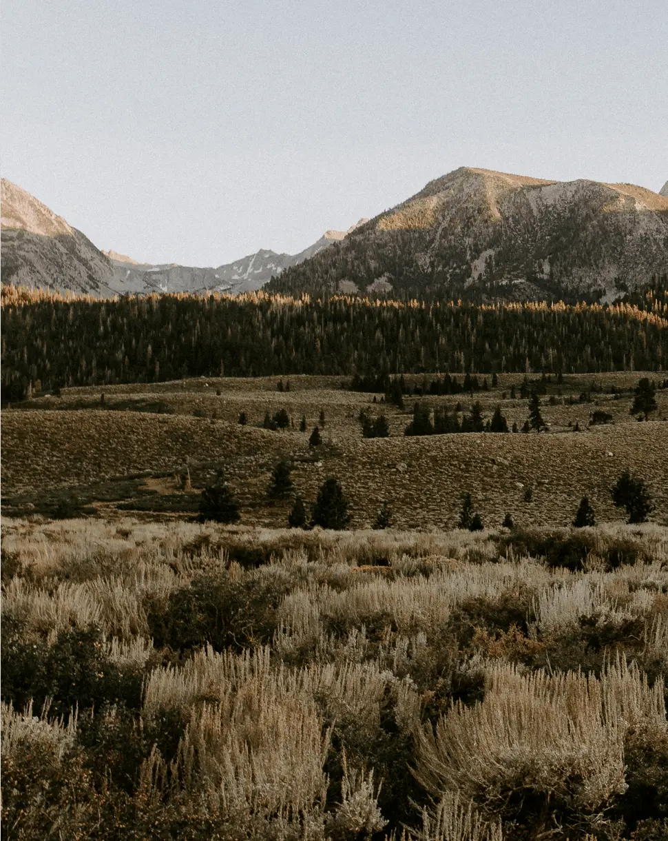 pat-rindone-l4uDLlj6INI-unsplash-crp